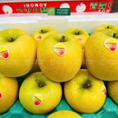 [Trái cây nhập khẩu] Táo Shinano Gold Nhật Thùng 1.7 Kg