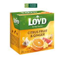 Trà Loyd Citrus Fruit & Ginger Hộp 40g