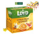 Trà Loyd Citrus Fruit & Ginger Hộp 40g