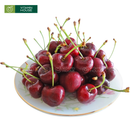 [Trái cây nhập khẩu] Cherry Canada Size 8.5 - Hộp 1kg