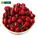 [Trái cây nhập khẩu] Cherry Đỏ New Zealand (500g)