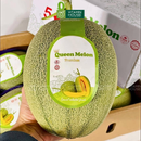 [Trái cây nội địa] Dưa Lưới Queen/Bee Melon