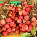 [Trái cây nội địa] Vải Thiều Lục Ngạn (500g)