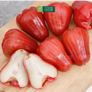 [Trái cây nội địa] Mận An Phước (500g)