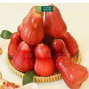 [Trái cây nội địa] Mận An Phước (500g)