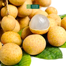 [Trái cây nội địa] Nhãn Hưng Yên (1Kg)
