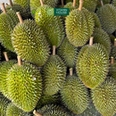 [Trái cây nội địa VN] Sầu Riêng Sáu Hữu Nguyên Trái (Kg)