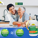 Viên Uống Bổ Não Nature's Way Ginko 2000mg Hộp 120V