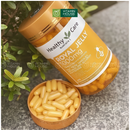 Viên Uống Sữa Ong Chúa 1000mg Healthy Care Úc 365 Viên