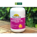 Viên Uống Tinh Dầu Anh Thảo Nature's Way 1000mg