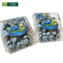 [Trái Cây Nhập Khẩu] Việt Quất NĐT Premium 125g