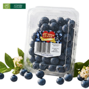 [Trái cây nhập khẩu] Việt Quất NZL ILuv Hộp 125g