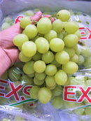 [Trái cây nhập khẩu] Nho Xanh Chile