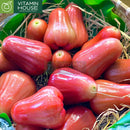 [Trái cây nội địa VN] Mận An Phước - Nông Sản Chú Chín