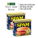 Thịt Hộp Spam Mỹ Burger Classic 340g
