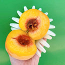 [Trái cây nhập khẩu] Đào Tiên Vàng Hàn Quốc