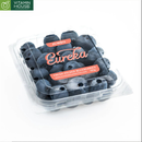 [Trái cây nhập khẩu] Việt Quất Tươi Eureka 125g