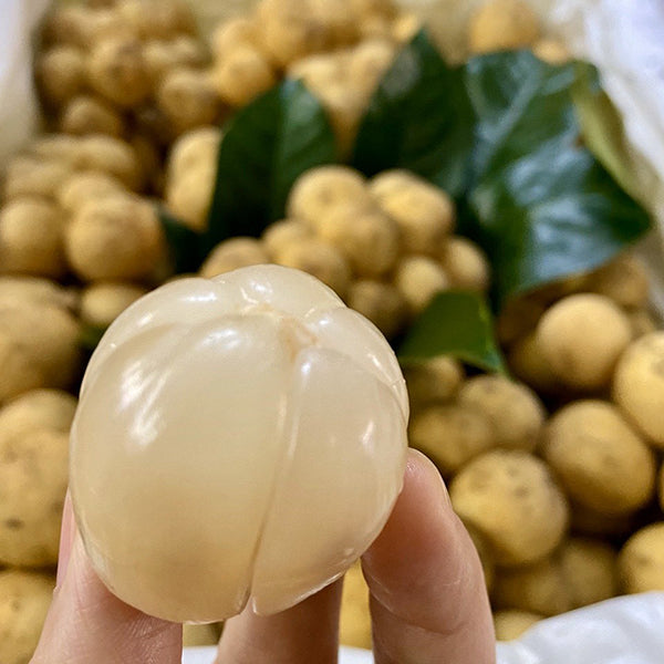 [Trái cây nhập khẩu] Bòn Bon Thái Lan