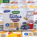 Sữa Chua Bledina Vị Việt Quất Cho Bé 12M+ Pháp