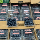 [Trái cây nhập khẩu] Việt Quất Tươi Eureka 125g