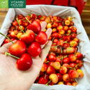 [Trái cây nhập khẩu] Cherry Vàng Mỹ Vụ 2024