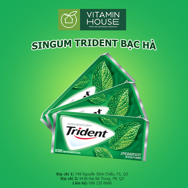 Kẹo Gum Trident Bạc Hà