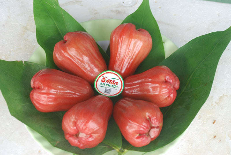 [Trái cây nội địa VN] Mận An Phước - Nông Sản Chú Chín