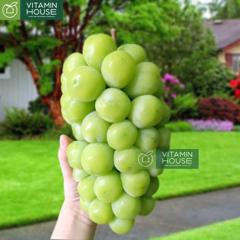 [Trái cây nhập khẩu] Nho Mẫu Đơn Sâm K-Grape Saponin Shine Muscat HQ Hộp 800g