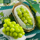 [Trái cây nhập khẩu] Nho Mẫu Đơn Sâm K-Grape Saponin Shine Muscat HQ Hộp 800g