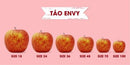 [Trái cây nhập khẩu] Táo Envy NewZealand Mùa Vụ T5/24 (Kg)