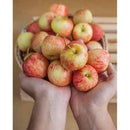 [Trái cây nhập khẩu] Táo Túi Fuji Value Pak Nam Phi (3kg)