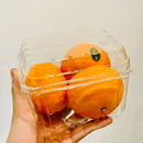 [Trái cây nhập khẩu] Quýt Ai Cập Mafa Size 60